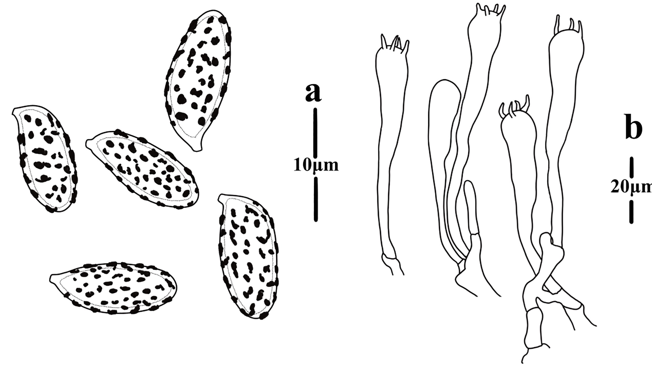 Figure 117
